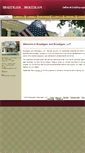 Mobile Screenshot of brautigamlaw.com